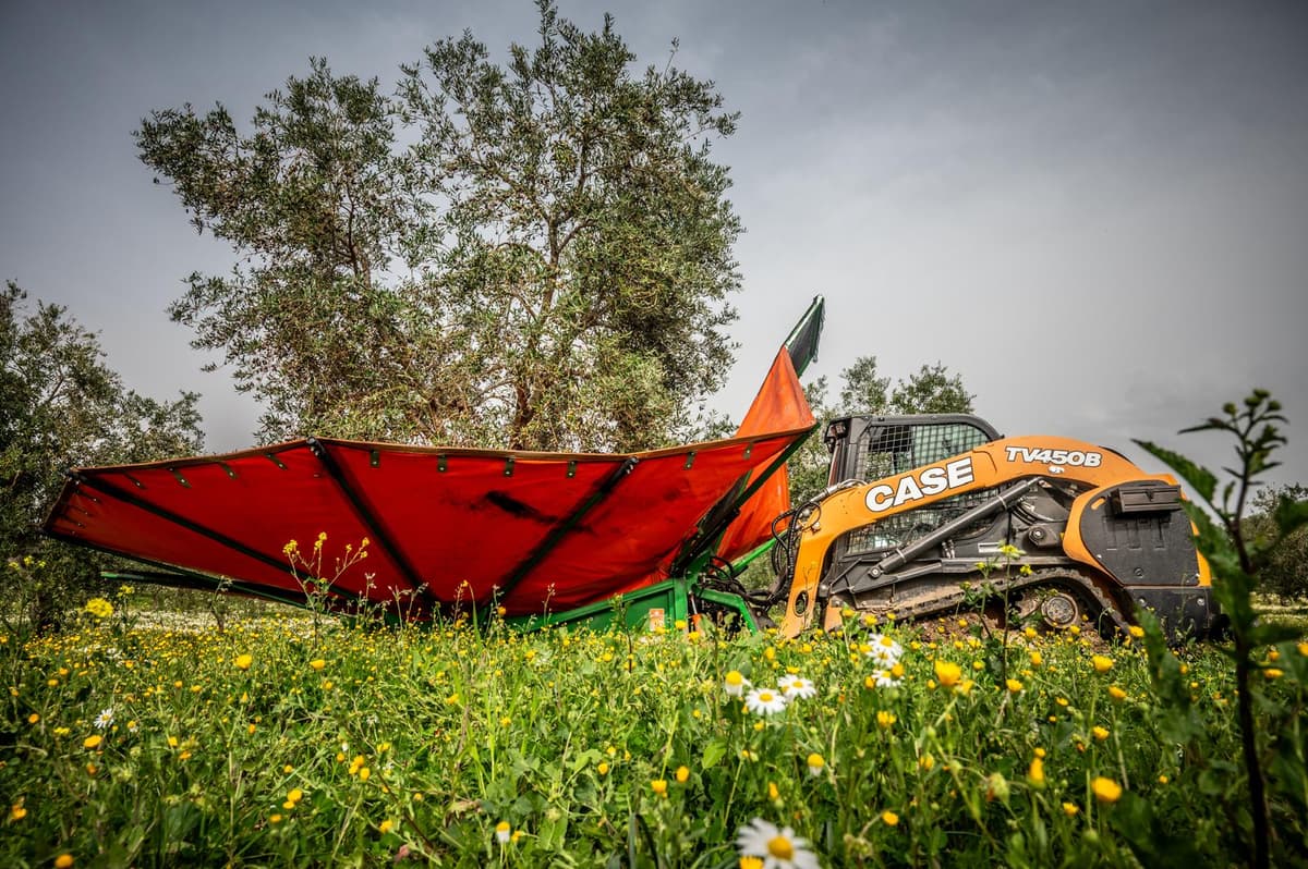 Minicargadora Case TV450B Renting website